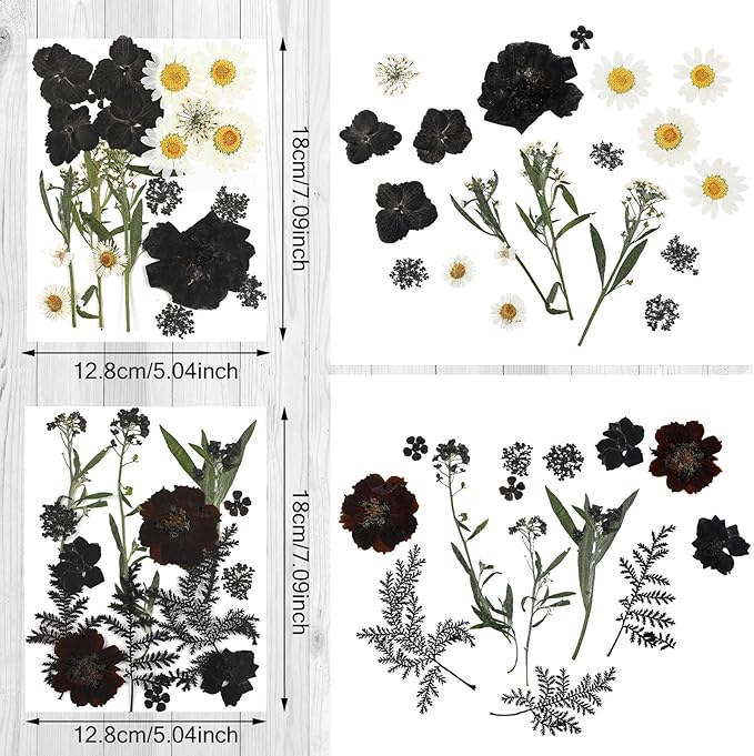 Nuanchu Pressed Flowers Bulk Dried Flower for Crafts, Dried Wildflowers Leave Natural with Tweezer for Resin Mold Scrapbooking Nail Soap Making DIY(Austere Style,Black Color)