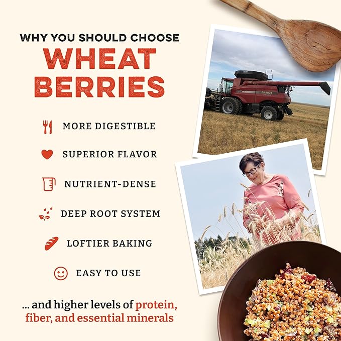 Sunrise Flour Mill Heritage Hard Red Wheat Berries (Turkey Red) (400 Ounce (Pack of 1)) Certified Organic | Non-GMO | Unprocessed | Vegan | Kosher | Shelf-stable Whole Wheat Berries Organic