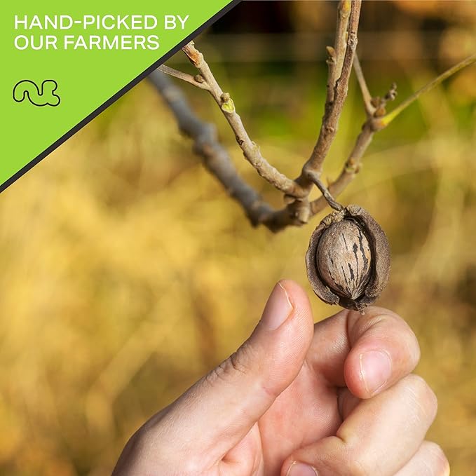 NUT CRAVINGS - Raw Pecans Halves & Pieces, Unsalted, Shelled, (48oz - 3 LB) Bulk Nuts Packed Fresh in Resealable Bag - Kosher Healthy Snack, Food Assortments Ideal for Trail Mixed Nuts