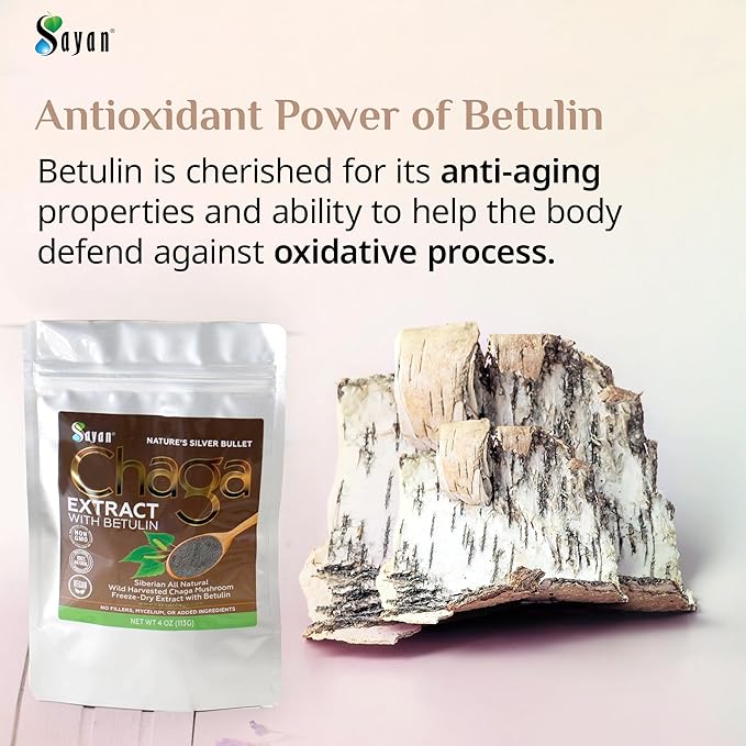 Sayan Siberian Chaga Mushroom Extract with Betulin Powder (2 oz) ??Organic Antioxidant Blend ??Support Immune System & Regulate Body Functions, Energy, Clarity, Wellness ??Mix with Yogurt or Smoothies