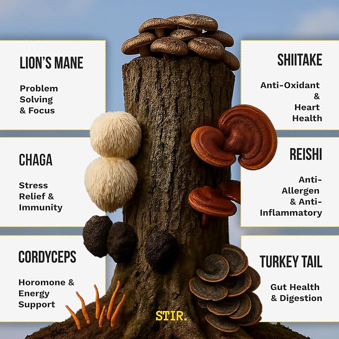 STIR Premium Instant Mushroom Coffee | Lion?™s Mane, Chaga, Reishi, Cordyceps, Shiitake, Turkey Tail | Organic Cacao, Vanilla, Coconut MCTs | Focus, Energy, Digestion Support | 30 Servings