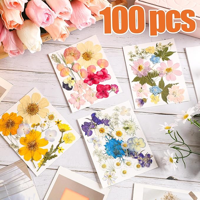 Nuanchu Pressed Flowers Bulk Dried Flower for Crafts, Dried Wildflowers Leave Natural with Tweezer for Resin Mold Scrapbooking Nail Soap Making DIY (Watercolor Style,Romantic Color)