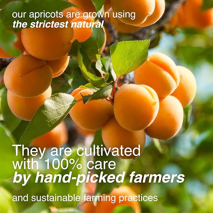 Arashan Apricots – Delicious Dried Apricot Fruit, MOST Delectable Dry Apricot In The World! Grown In The Ferghana Valley In Kyrgyzstan – Apricots Dried | Sundried, Pitted, No Sugar Added (1 LB)