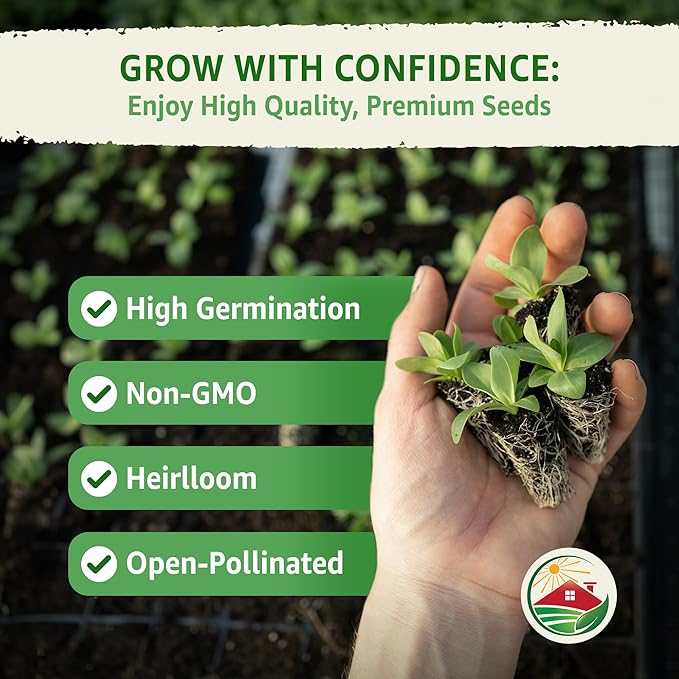 TKE Farms & Gardens - Chocolate Cherry Sunflower Seeds for Planting, 50+ Heirloom Non-GMO Seeds, Easy to Grow, Includes Planting Instructions, Enjoy Stunning Deep Red Blooms