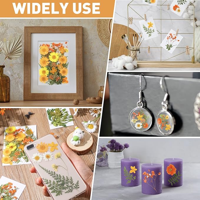 Nuanchu Pressed Flowers Bulk Dried Flower for Crafts, Dried Wildflowers Leave Natural with Tweezer for Resin Mold Scrapbooking Nail Soap Making DIY (Intense??Style,Orange Color)