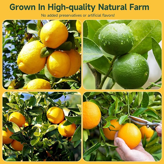 3-Pack Dehydrated ORANGE,LEMON & LIME,9oz total,Premium Craft Cocktail Garnish With10 Pcs Drink Umbrellas Picks And 1 Fruit Clips,for Tea, Beverages, and More Craft Cocktail Home Mixologist,Bartender Garnishes Dried Fruit