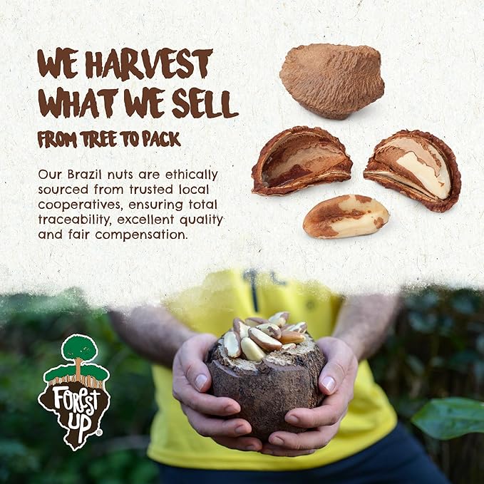 Snack Tropical Trail Mix 7 oz – The True Organic Brazil Nuts Roasted + Dried Apple + White Raisins + Dried Pineapple + Passion Fruit Nibs – Kosher – Fresh, Vegan and Gluten Free – Forest Up