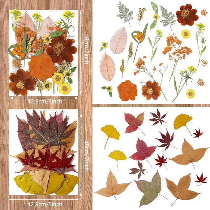 Nuanchu Pressed Flowers Bulk Dried Flower for Crafts, Dried Wildflowers Leave Natural with Tweezer for Resin Mold Scrapbooking Nail Soap Making DIY(Fall Style,Vivid Color)