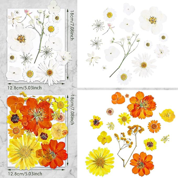 Nuanchu Pressed Flowers Bulk Dried Flower for Crafts, Dried Wildflowers Leave Natural with Tweezer for Resin Mold Scrapbooking Nail Soap Making DIY(Artsy??Style,Diverse Color)