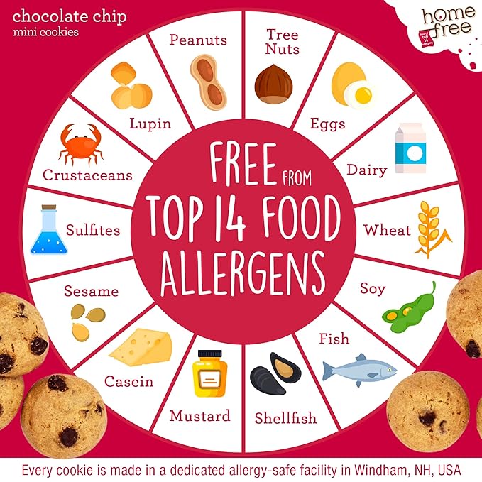 Homefree Treats You Can Trust Gluten Free Mini Cookies, Single Serve, Chocolate Chip, 1.1 Ounce (Pack of 10)