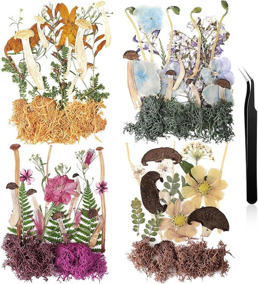 Nuanchu Pressed Flowers Bulk Dried Flower for Crafts, Dried Wildflowers Leave Natural with Tweezer for Resin Mold Scrapbooking Nail Soap Making DIY (Mushroom Style,Original Color)