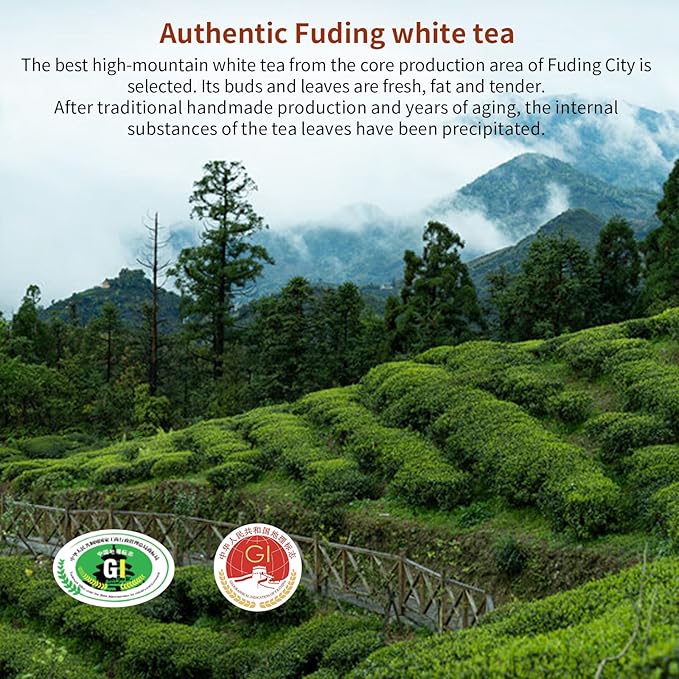 Yuexi Shou Mei White Tea Pearls 2013 Yr Chinese Tea Fuding Aged White Tea Dragon Ball Shou Mei Tea BaiCha Jujube Aroma 白茶 寿眉老白茶 寿眉龙珠 福鼎白茶 7.05oz/200g