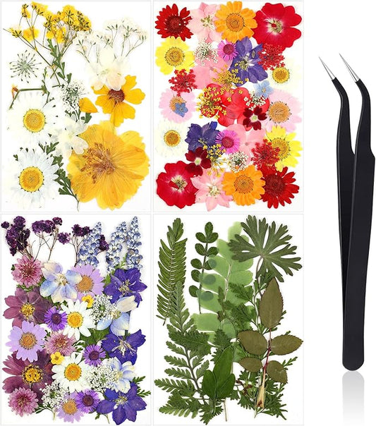 Nuanchu Pressed Flowers Bulk Dried Flower for Crafts, Dried Wildflowers Leave Natural with Tweezer for Resin Mold Scrapbooking Nail Soap Making DIY(Classic Style,Bright Colors)