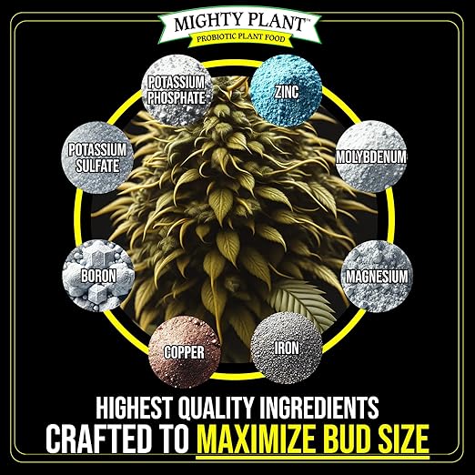 Bloom Booster Flowering Enhancer & Heavy Harvests – High-Density PK Formula – BudCharge 0-50-32 | Ideal for Fruit & Flower Production (1, Pounds)
