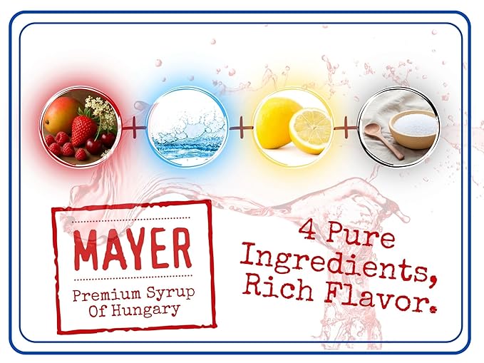 Mayer Premium Artisan Mango Syrups ??Award-Winning, Only Real Mangoes and 3 Natural Ingredients, Vegan, Gluten Free, Dairy Free, Versatile for Beverages & Desserts ??No Artificial Additives, Rich Authentic Flavor ( 16.9 Fl oz. / 500 ml, 6 Pack Mango )