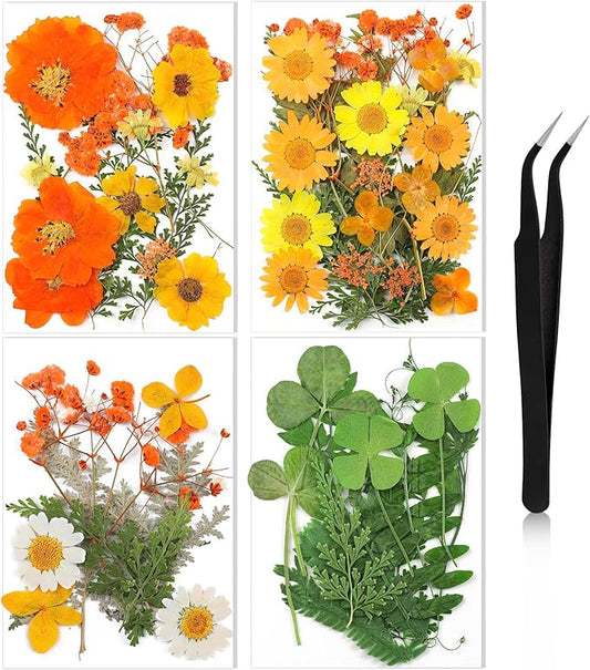 Nuanchu Pressed Flowers Bulk Dried Flower for Crafts, Dried Wildflowers Leave Natural with Tweezer for Resin Mold Scrapbooking Nail Soap Making DIY (Intense??Style,Orange Color)