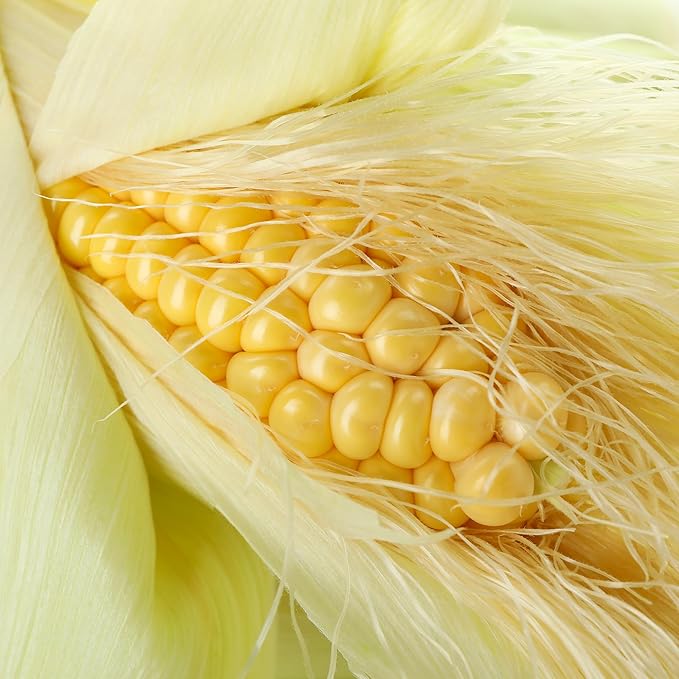 Birch & Meadow 2.4 lb of Corn Starch, Thickening Agent, Baking, Canning & Cooking