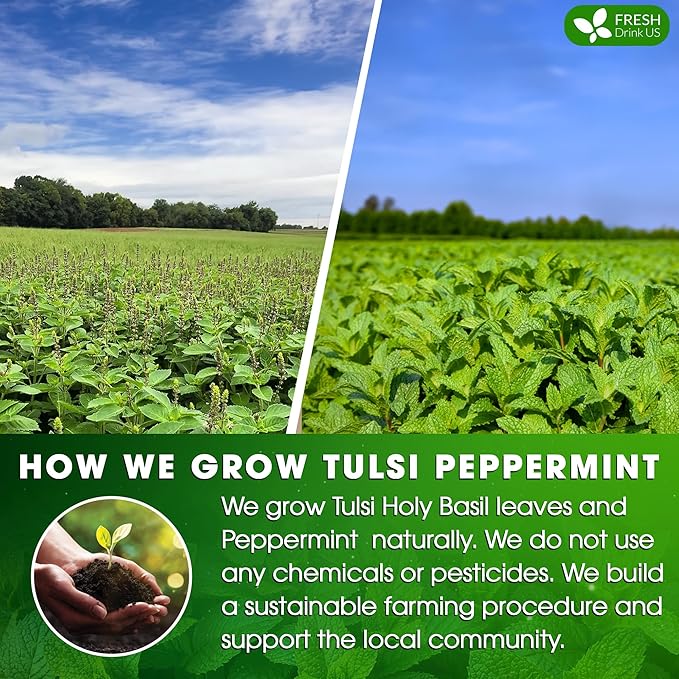 FreshDrinkUS, Premium Tulsi Peppermint Herbal Tea ??55 Tea Bags, 100% Natural, Blend of Tulsi Holy Basil Leaves, and Peppermint Leaves. Made with Natural Material Tea Bags. No Sugar, Vegan.