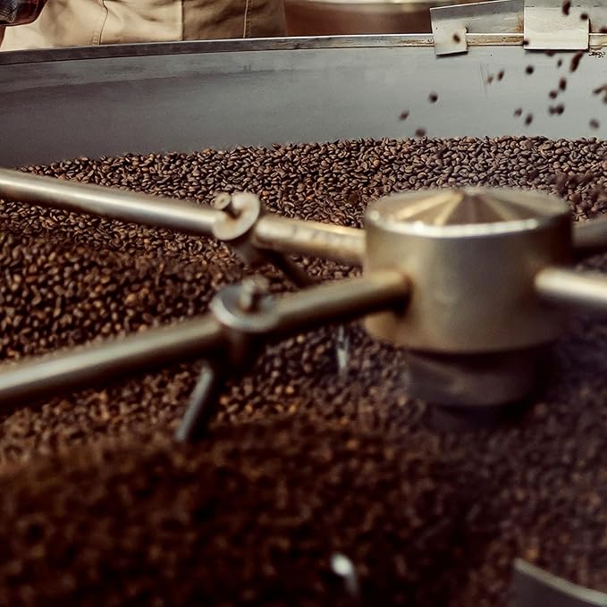 Coffee Bean Direct Organic Swiss Water Process Mexican Chiapas, Whole Bean Coffee, City Roast, 5 Pound Bag (Pack of 1)