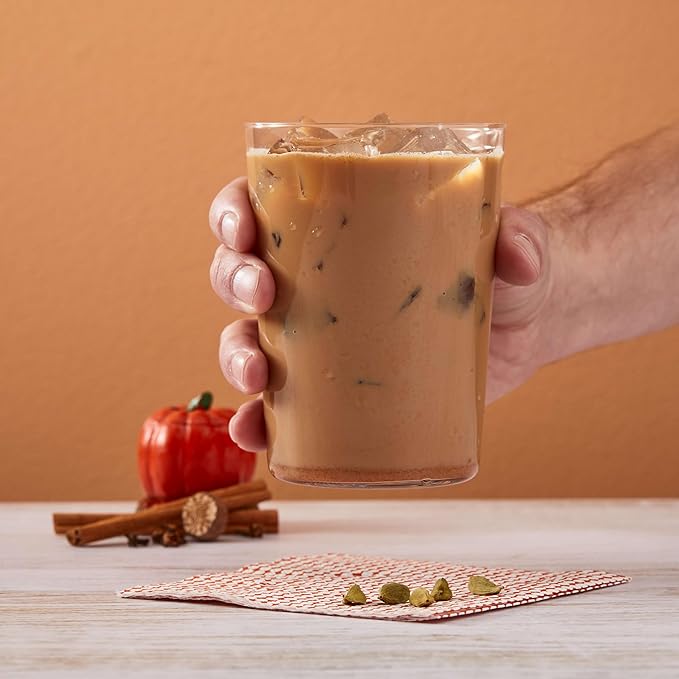 Big Train Pumpkin Pie Chai Tea Single Bag 3.5lb