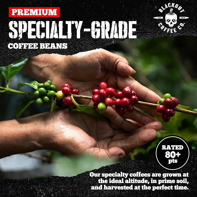 Blackout Coffee Pitch Black Espresso Ground Coffee ??Extra Dark Roast, European-Style, Bold & Aromatic ??Freshly Roasted 12oz Bag, American Made