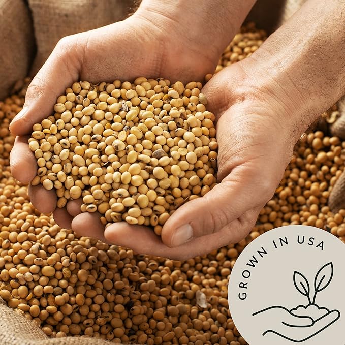 Be Still Farms Organic Soybeans - Soy Beans Dry (2.8 lb) aka Soya Nuts - Great for Edamame, Soy Milk, Tofu - High in Protein & Fiber | USA Grown | USDA Certified | Vegan | Non-GMO | Gluten Free