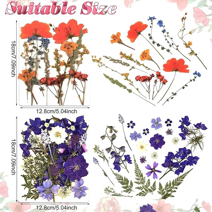 Nuanchu Pressed Flowers Bulk Dried Flower for Crafts, Dried Wildflowers Leave Natural with Tweezer for Resin Mold Scrapbooking Nail Soap Making DIY(Gorgeous Style,Multi Color)