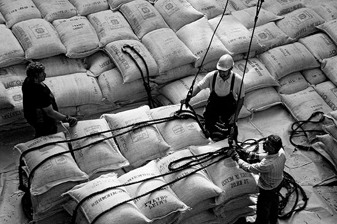 Bristot Buongusto Italian Espresso Coffee Beans ??Whole Bean, Medium Roast, Low Acid ??2.2 lb (1kg) Bag ??Smooth, Bold Flavor for Espresso