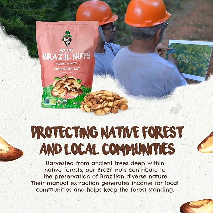 FLORESTA EM PÉ - The True Organic Premium Brazil Nuts (7oz) Roasted & Himalayan Salt | Kosher | Non-Gmo | Certified Organic | No Oil | Fresh | Vegan | Gluten Free | Keto and Paleo Friendly | Sustainably Harvested