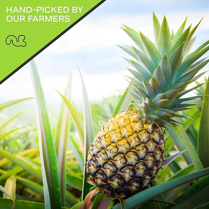 NUT CRAVINGS - Sun Dried Pineapple Chunks, Lightly Sweetened (48oz, 3 LB) Bulk Dry Fruits Packed Fresh in Resealable Bag - Sweet Healthy Snack, Naturally Grown, Vegan, Kosher