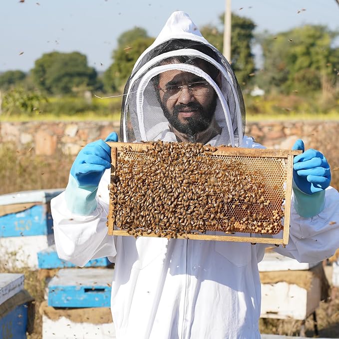 Shiva Organic Dew Honey 250g - High Altitude Himalayan Pure Honey
