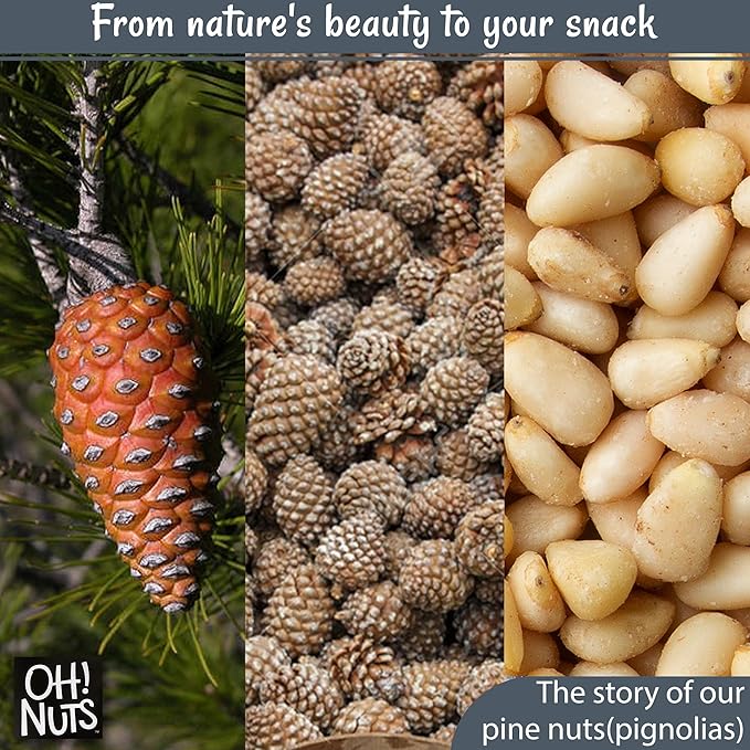 Oh! Nuts Pine Nuts (Pignolias) - Raw - 100% Natural Pine Nuts - 1 lb Bulk Bag - Premium Pignoli Packed with Protein