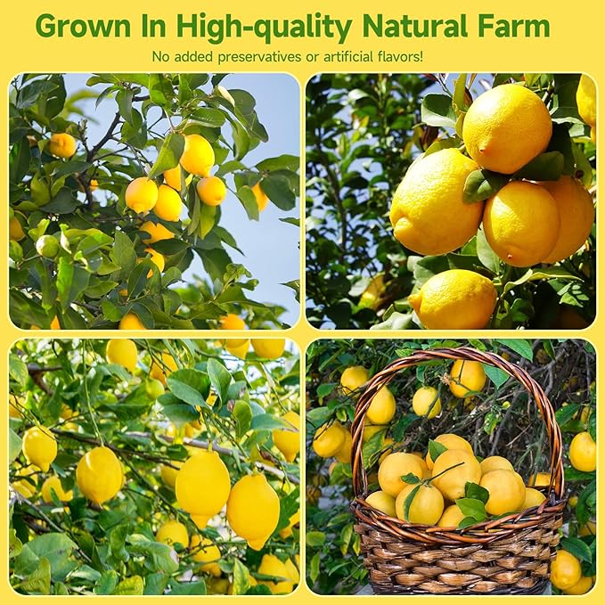 Dried Lemon Slices,3oz/85g, Dehydrated Fruit Slices For Cocktails,100% Natural No Additives No Sugar Added,Natural And Pure Taste,Fruit Tea,Cake Decorative Wheels, Crafts Decor,Dried Citrus