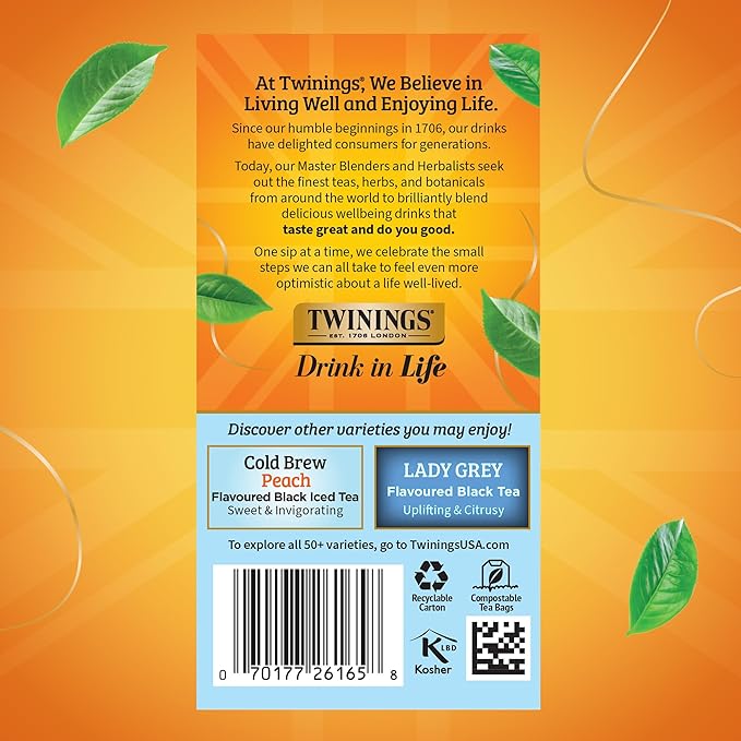 Twinings English Classic Cold Brew Iced Tea Bags, 20 Count (Pack of 1), Unsweetened Black Tea, Caffeinated, 20 Teabags