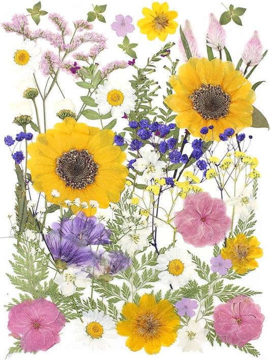 16 Types Boho Dried Pressed Flowers for Craft, Leaf Plant Herbarium for Resin Molds Jewelry Making Floral Decors竊뉰oho Colorç«?,<div>