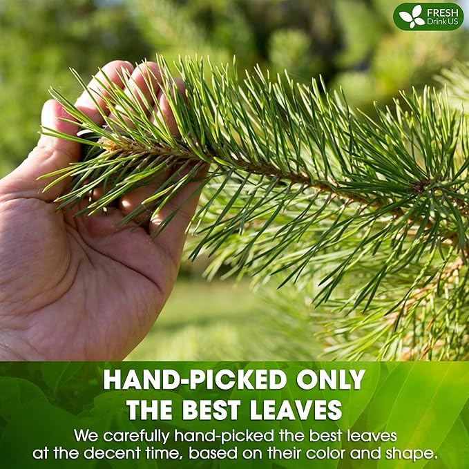 FreshDrinkUS, Pine Needle Tea Bags ??40 Tea Bags, Naturally Caffeine-Free, Refreshing Herbal Tea, Wild-Harvested Pine Leaves, Aromatic and Soothing ??Non-GMO & Eco-Friendly Packaging