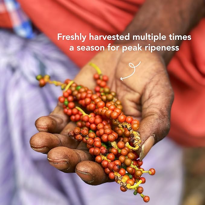 Diaspora Spice Co. Aranya Black Pepper | Single-Origin Whole Black Peppercorns for Grinder Refill | Fresh & Hand-Harvested | 53g Everyday Tin