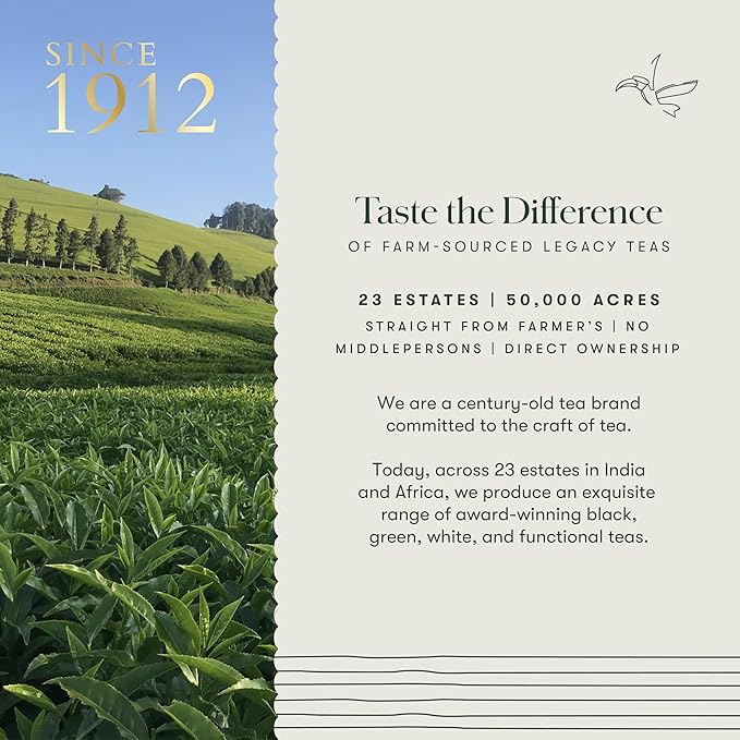 Luxmi estates Apple Cinnamon Black Tea 50 Tea Bags (100g) Pack | USDA Certified Premium Black Tea | Anti-Oxidants, Immunity Booster | 50 Cups Bulk Pack