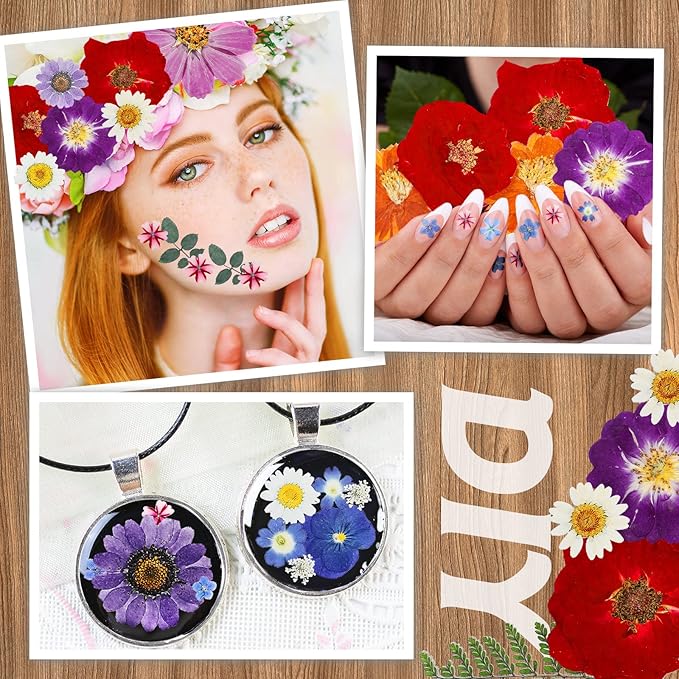Nuanchu Pressed Flowers Bulk Dried Flower for Crafts, Dried Wildflowers Leave Natural with Tweezer for Resin Mold Scrapbooking Nail Soap Making DIY(Exquisite Style,Bright Color)