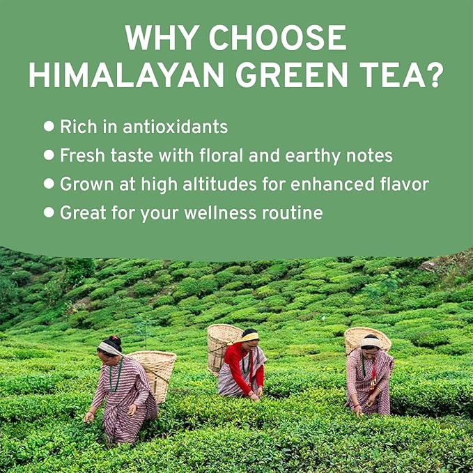 VAHDAM, Green Tea Leaves From Himalayas 170+ Cups (12oz) High Elevation Grown Green Tea Leaves From Himalayas | Pure Unblended Single Origin Green Loose Leaf Tea | Vacuum Sealed