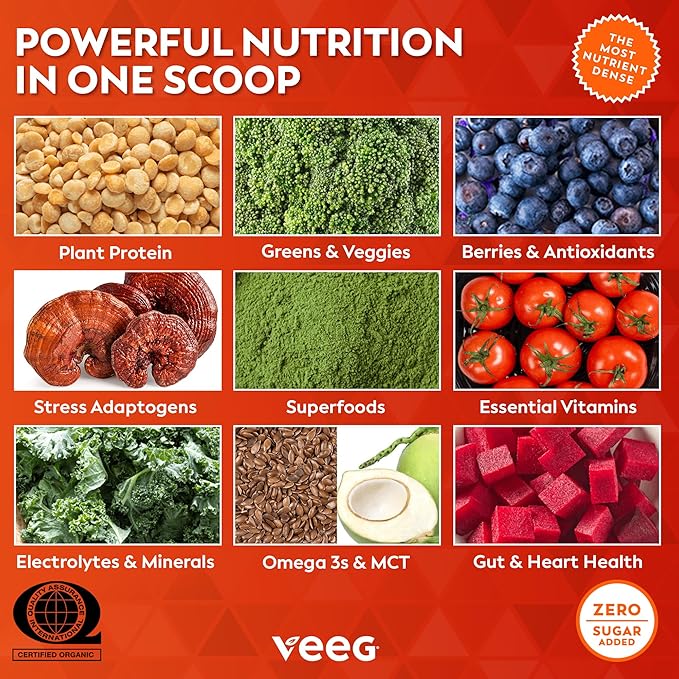 Veeg All-in-One Protein Smoothie Powder - Plant Based Protein Powder, Superfoods, Organic Greens, MCT Oil, Probiotics, Multivitamins for Men & Women, Sugar-Free, 15 Servings (Vanilla)