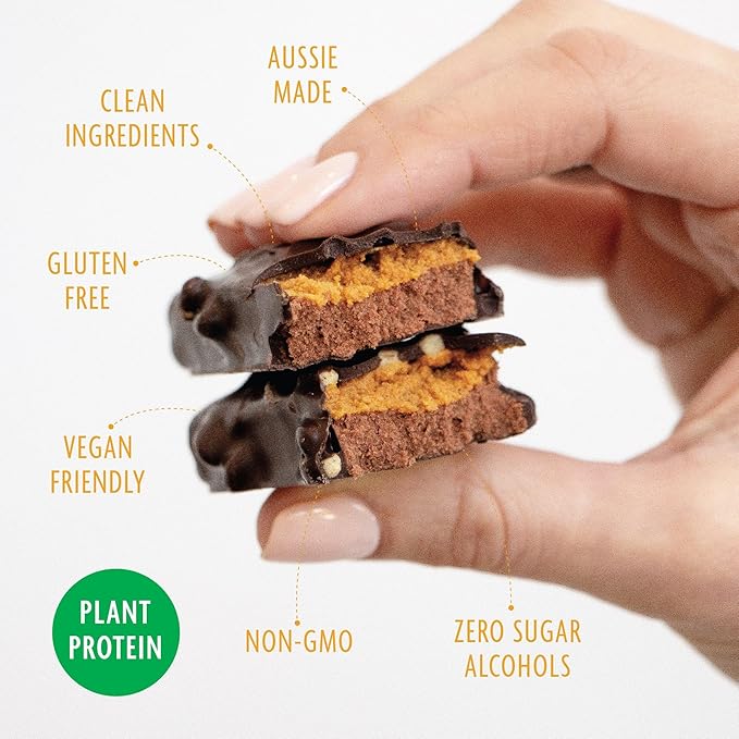 Health Lab - Gluten Free Protein Bars - Choc Caramel Fudge Cake 750 gm - (Pack of 15)
