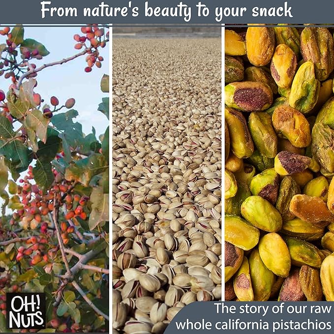 Oh! Nuts Pistachios No Shell - Raw - 100% Natural - 1 lb - Raw Whole California Pistachios - Packed in New York Zip-Seal Bag for Exceptional Freshness