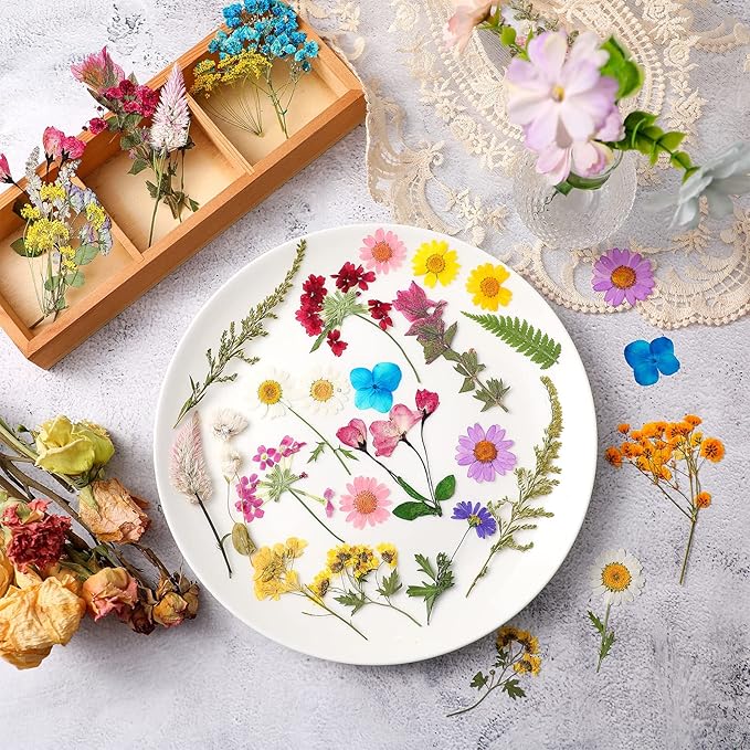 Nuanchu Pressed Flowers Bulk Dried Flower for Crafts, Dried Wildflowers Leave Natural with Tweezer for Resin Mold Scrapbooking Nail Soap Making DIY(Delicate Style,Bright Colors)