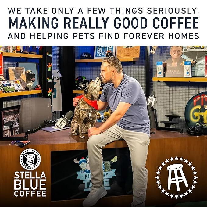 Stella Blue Whole Bean Coffee, Big Cat Blend, Medium Roast, Caramel, Hazelnut and Fruity Notes, 100% Arabica, Ethically Sourced from Central and South America, 12 oz bag