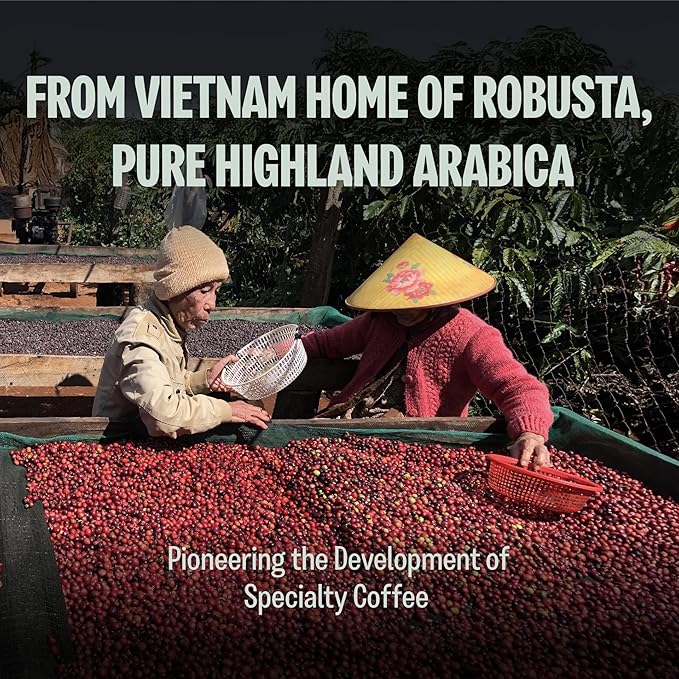 BAZAN COFFEE Vietnamese Special Blend - Ground Medium Roast, Fruity, Floral & Caramel Notes, Organic Robusta & Arabica, Natural 36H Fermentation, 12oz Bag