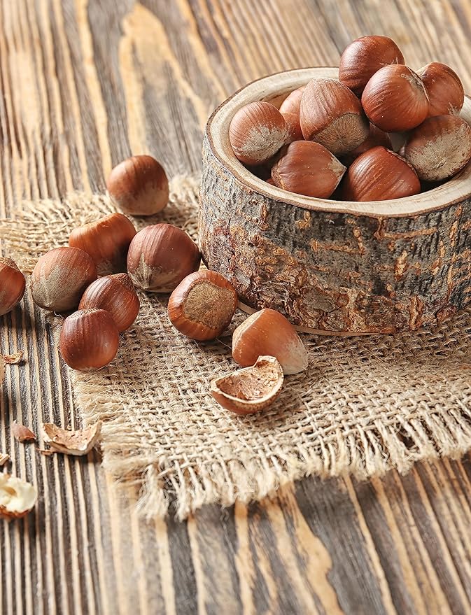 Anna and Sarah Large Oregon Hazelnuts in Shell (2.5 Lbs)