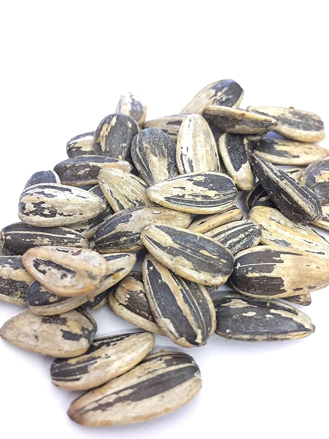 Bricktown Goods Cajun Honey Mustard Flavored Sunflower Seeds - 3 Pack - Boldly Seasoned and Roasted In-Shell Sunflower Seeds - 24 oz Total