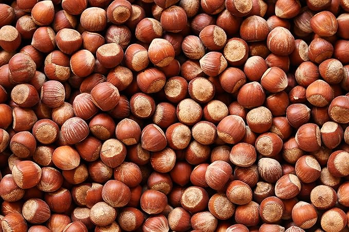 Natural In Shell Raw Oregon Filberts/Hazelnuts (5 Lbs.) - Vegan & Keto Friendly - Super Crunchy & Delicious - Packed with Nutrients - Farm Fresh Nuts Brand
