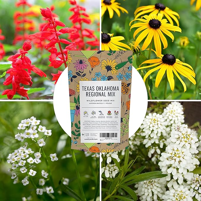 Texas Oklahoma Regional Mix Seeds for Planting - Bulk 1 Pound Bag - Over 240,000 Native Seeds - Open Pollinated and Non GMO